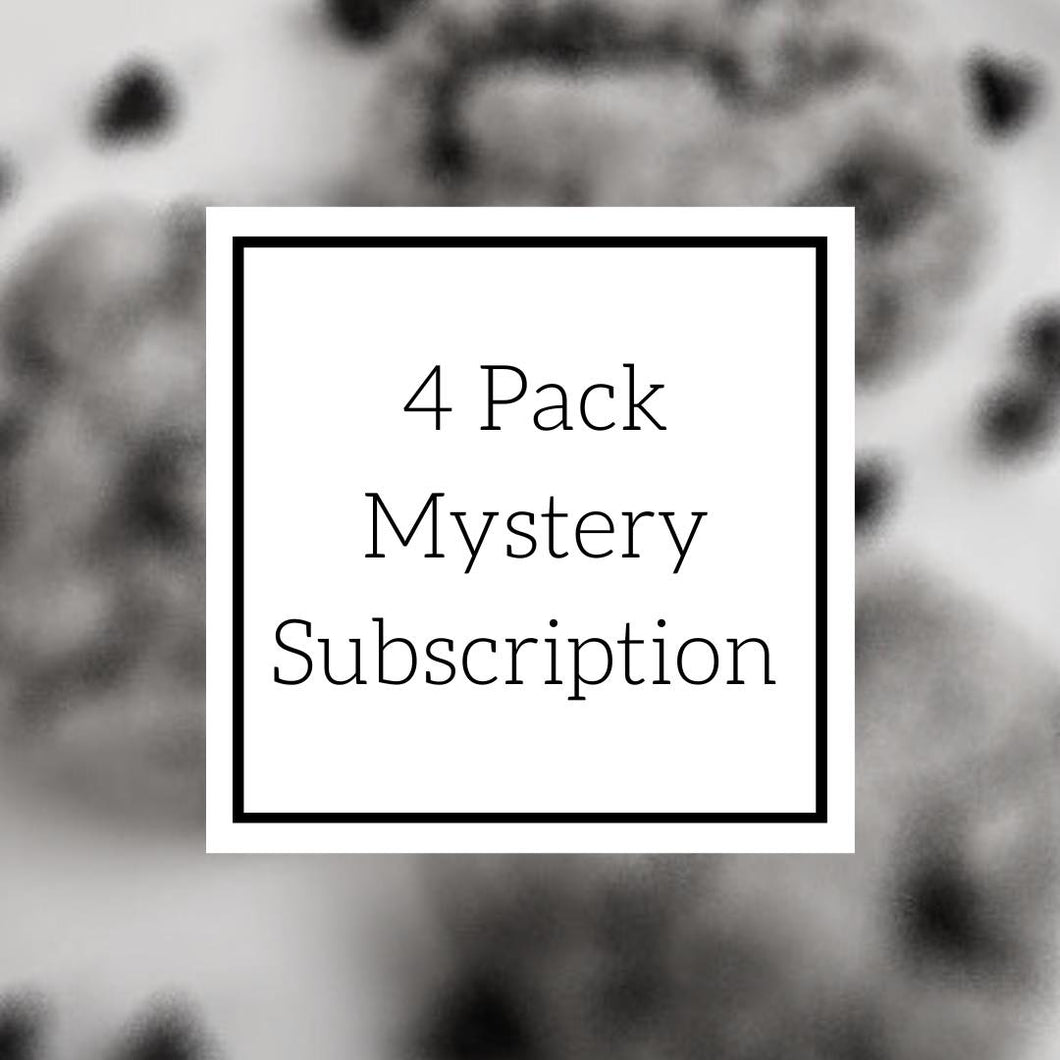 4 Pack Mystery Lactation Quick Boost Cookie Mix Subscription Pack