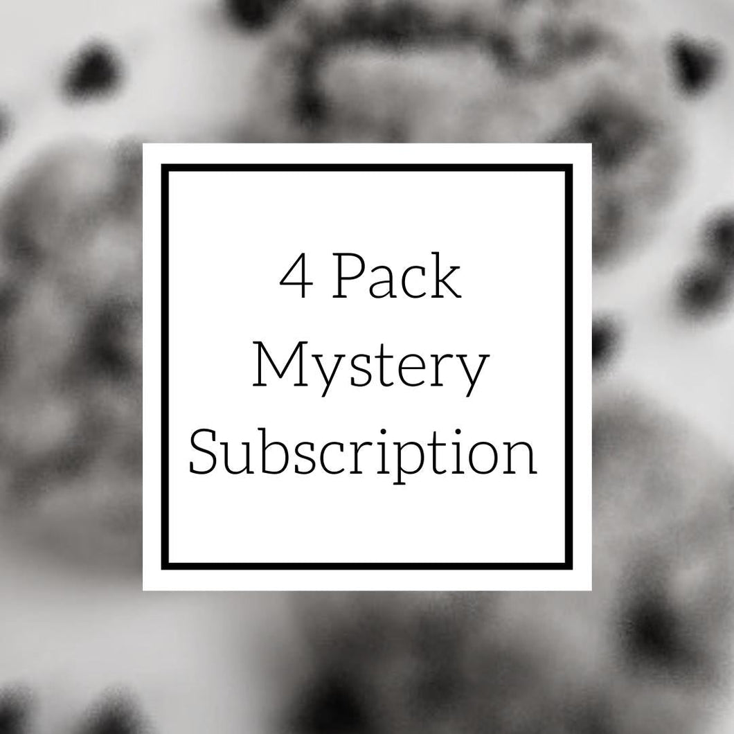 4 Pack Mystery Lactation No Bake Edible Cookie Dough Mix Subscription Pack
