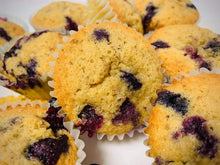 Load image into Gallery viewer, Lactation Blueberry Muffin Mix
